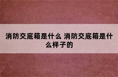 消防交底箱是什么 消防交底箱是什么样子的